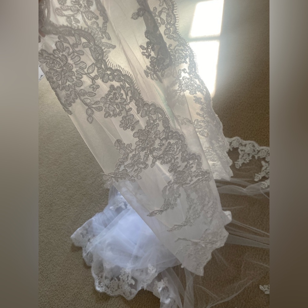 Veil - Picture 3 of 5